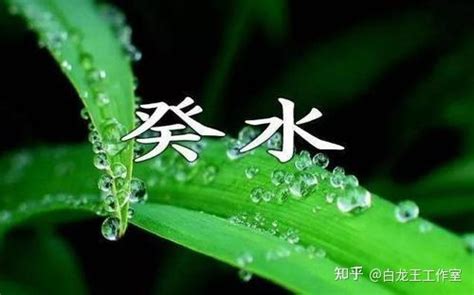 葵水命|癸水命：充满智慧谋略，容易富贵！